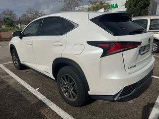 Lexus NX 2019