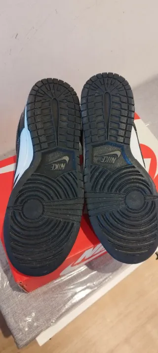Nike Dunk Low Retro Zapatillas
