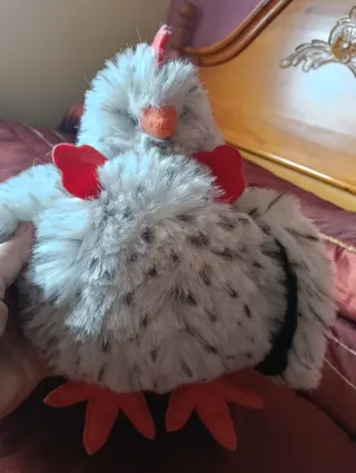 Peluche Gallina