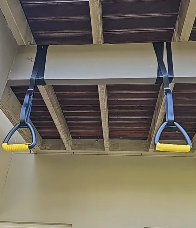 Anillos Gimnásticos con Correas Ajustables