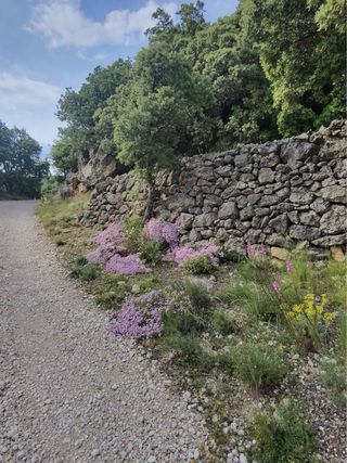 Gafas Ray-Ban Meta Wayfarer RW4008