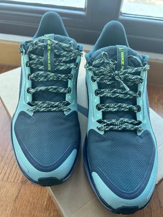 Zapatillas Nike Pegasus 41 GTX Gore Tex