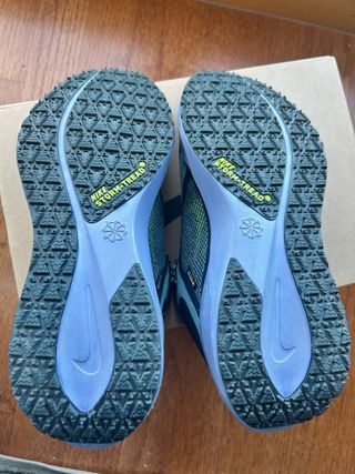 Zapatillas Nike Pegasus 41 GTX Gore Tex