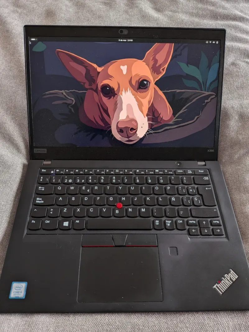 Lenovo Thinkpad X390 Negro