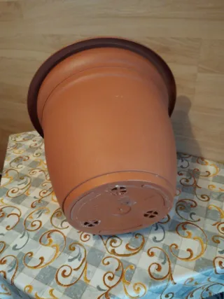 Maceta grande de plástico marrón