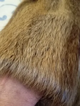 Chaquetón de pelo vintage marrón