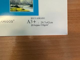 Bloc Dibujo A3+ Amigos 20 hojas 110g/m²