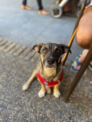 Cuadro personalizado dibujo y figura 3D