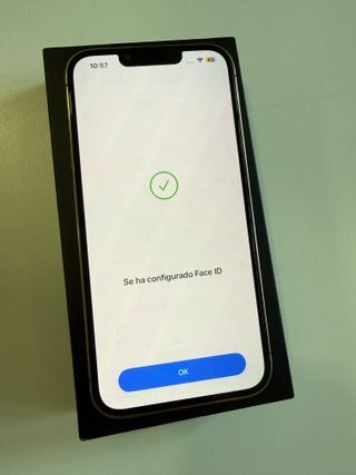 iPhone 13 Pro 256GB Dorado