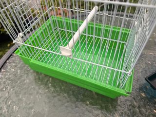 Jaula para canario verde y blanca