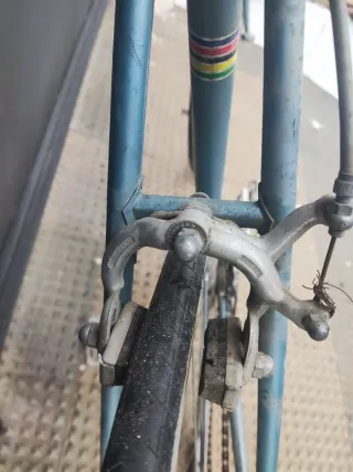 Bicicleta Clásica Semar Especial