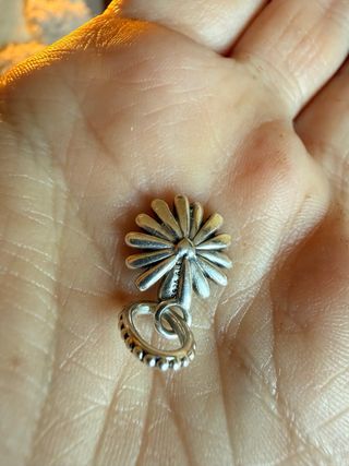 Charm Pandora Flor Margarita Plata
