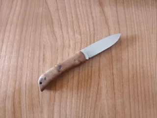 Nieto Campaña Thuya