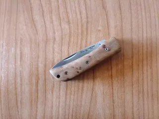 Nieto Campaña Thuya