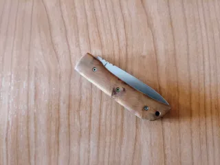 Nieto Campaña Thuya