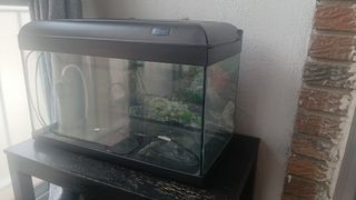 Acuario 60x20x30 (36L-40L) + Filtro