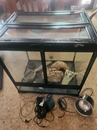 Terrario con accesorios decorativos