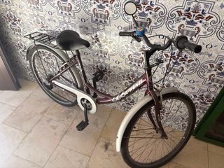 Bicicleta urbana morada