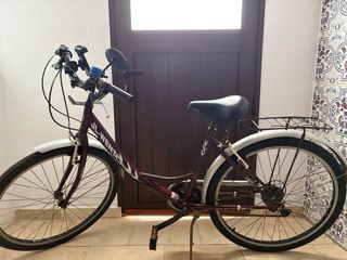 Bicicleta urbana morada