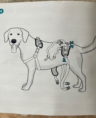 Arnés Perro PetSafe CareLift Completo