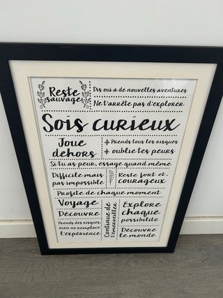 Cuadro mensaje francés