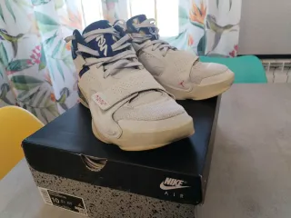 Zapatillas Jordan Zion Williams Multicolor