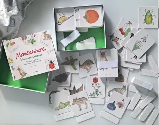 Juego Montessori Primeras Palabras