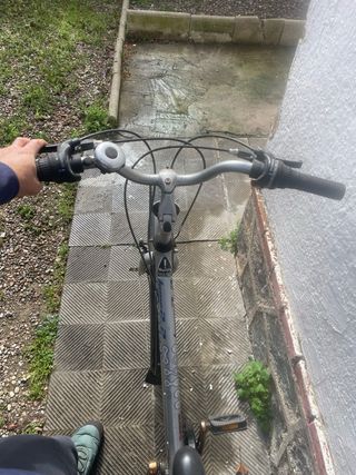 Bicicleta Pro Flex