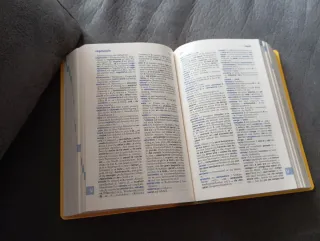 Diccionario alemán y gramática alemana.