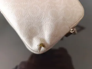 Bolso bandolera Calvin Klein beige