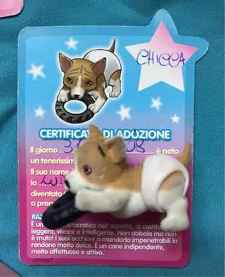 Cuccioli cerca amici pannolino