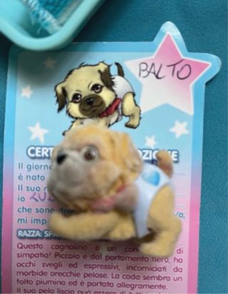 Cuccioli cerca amici pannolino