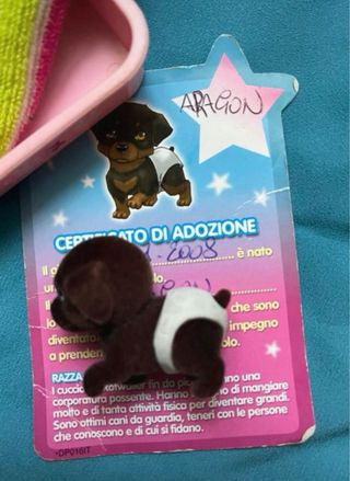 Cuccioli cerca amici pannolino