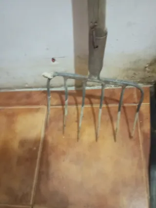 Ginchas antiguas de pueblo