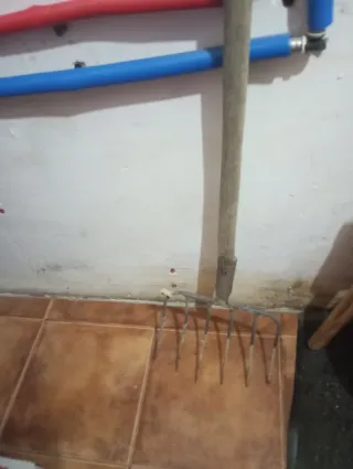 Ginchas antiguas de pueblo