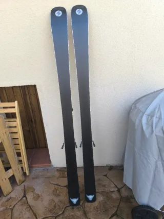 Sci Blizzard Brahma 173