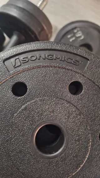 Barra y pesas Songmics