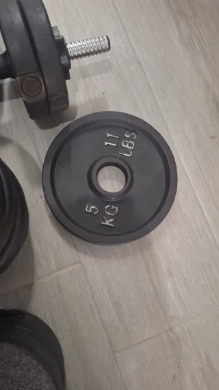 Barra y pesas Songmics