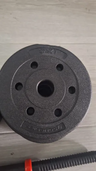 Barra y pesas Songmics