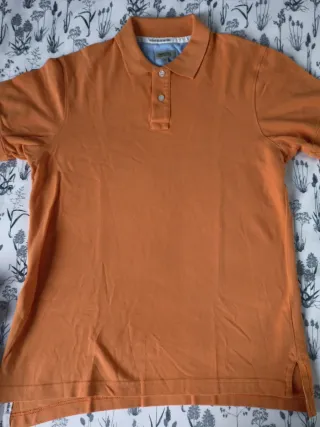 Lote de ropa de chico: polos, jersey y camiseta