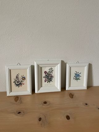 Tris di quadretti botanici con cornice