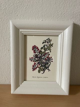 Tris di quadretti botanici con cornice