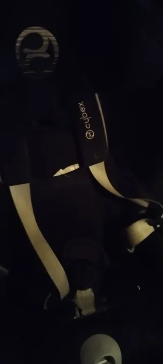 Silletas de coche y carro