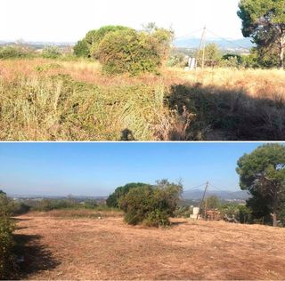 Servicio de Desbroces y podas