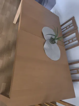 Mesa comedor extensible de 160 y 2 metros abierta