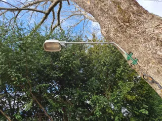 Farolas antiguas Calle