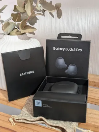 Samsung Galaxy Buds2 Pro Grafito