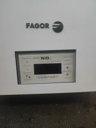 Caldera Fagor Gas Natural