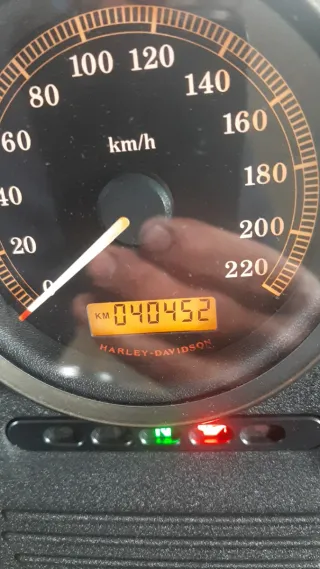 Harley-Davidson Iron 883 Negra muy buen estado