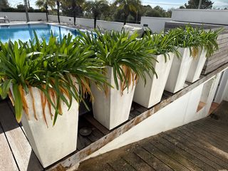 Jardineras (5 unidades)